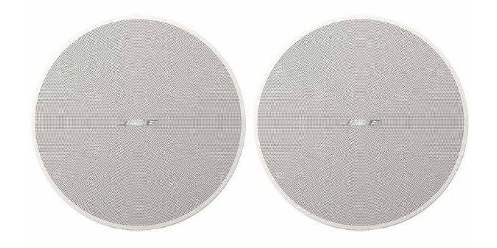 Visuel Fiche complète : BOSE® DM5C White